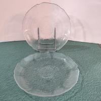 Vintage Arcoroc Fleur Pattern 9 Inch Luncheon Plates, Set of 2