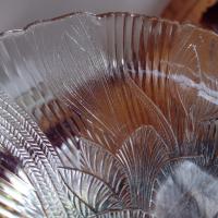 Vintage Arcoroc Canterbury Crocus 10.75 Inch Clear Glass Dinner Plates, Set of 2