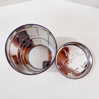 Vintage E. Otto Schmidt Nurnberger Lebkuchen Castle Tin, Nuremburg Germany Scene Decorative Storage Tin