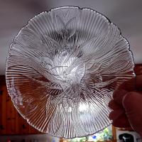 Vintage Arcoroc Canterbury Crocus 7.5 Inch Clear Glass Salad Dessert Plates, Set of 2