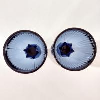 Vintage Fostoria Monet Dark Blue Wine Glasses, Set of Two