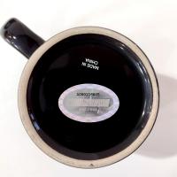 Vintage Jeff Gordon #24 NASCAR Ceramic Mugs, Set of 2