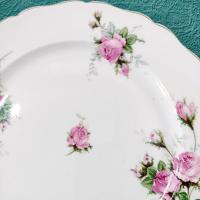 Vintage Canonsburg Moss Rose Luncheon Dinner Plates, Set of 6, Pink Floral MCM Plates