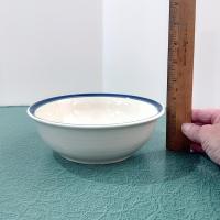 Vintage Pfaltzgraff Northwinds Small Vegetable Serving Bowl