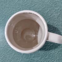 Vintage Owl Ceramic Coffee Tea Mug, Love the Moment Natural Life Owl Mug