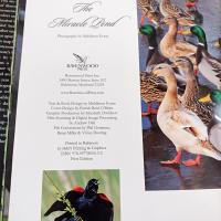 Vintage Signed First Edition The Miracle Pond Hard Back Coffee Table Book, Middleton Evans Patterson Park Baltimore Nature Photography Book
