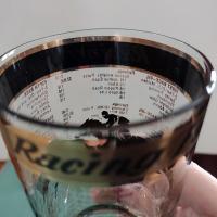Vintage New York and New Jersey Race Track Horse Racing Form Highball Glasses, Set of 6, 
