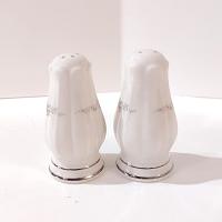 Vintage Noritake Rothschild Porcelain Salt and Pepper Shaker Set