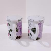 Vintage Fruit Motif Large Salt and Pepper Shaker Set, Shakers with Handles