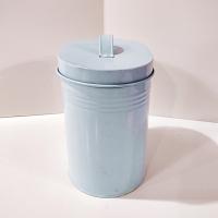 Aqua Blue Treats Tin with Handle Lid, Oval Pet Treat Storage Container