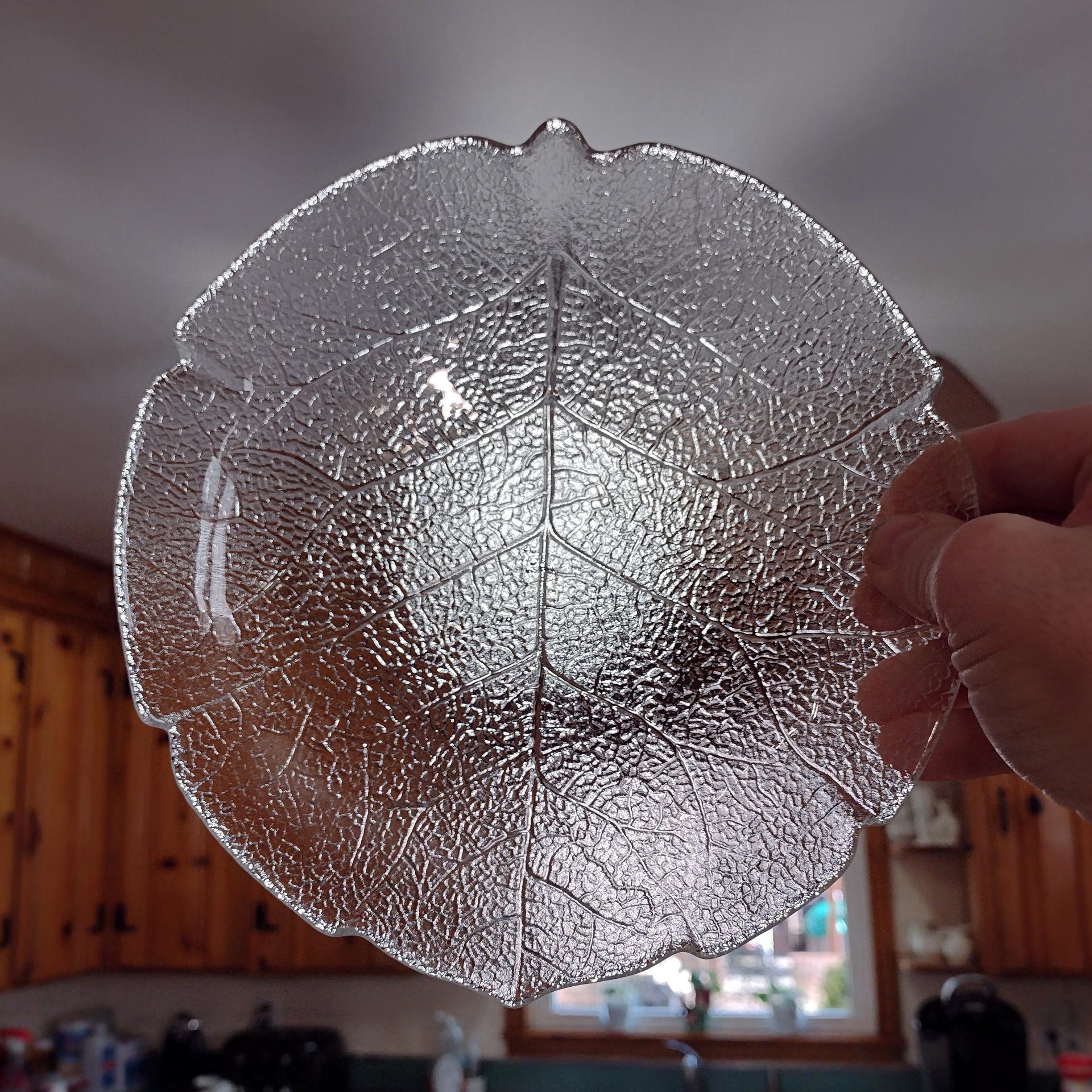 Vintage Arcoroc Aspen Leaf Salad Plates, Set of Five