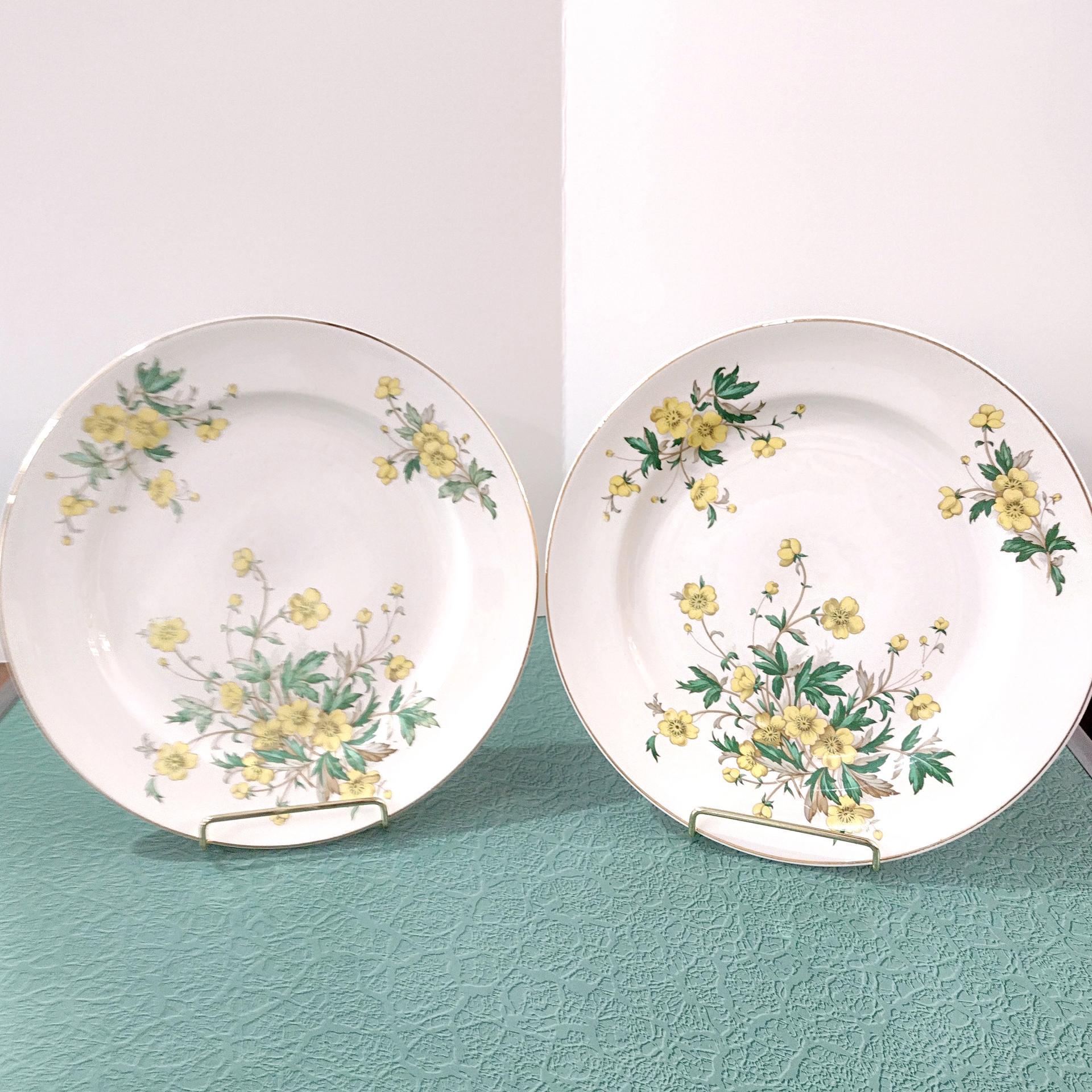 Vintage Edwin Knowles Buttercup Dinner Plate, Set of Two, Floral Ceramic 1940's Dinnerware