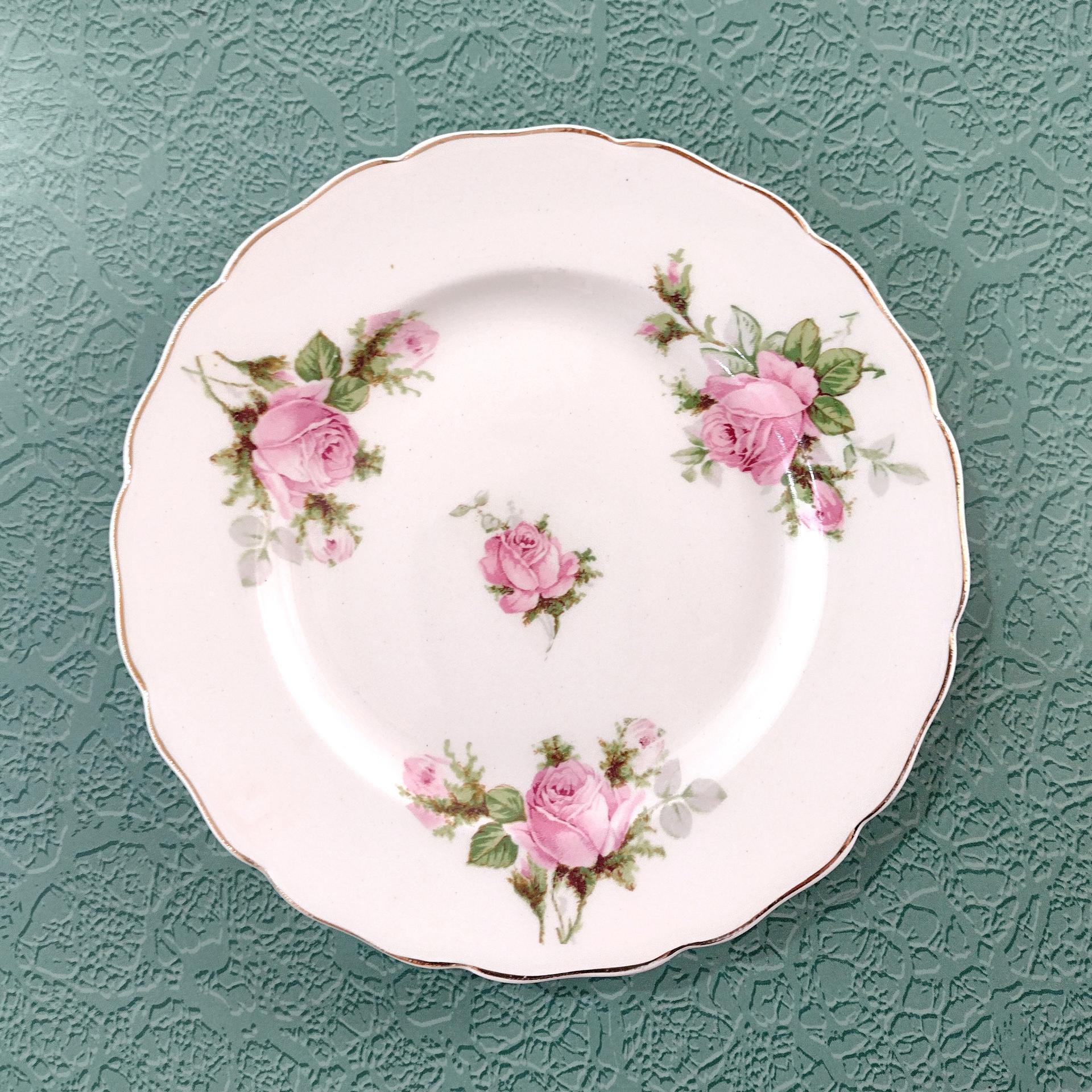 Vintage Canonsburg Moss Rose Bread Appetizer Plates, Set of 5, Pink Floral MCM Plates