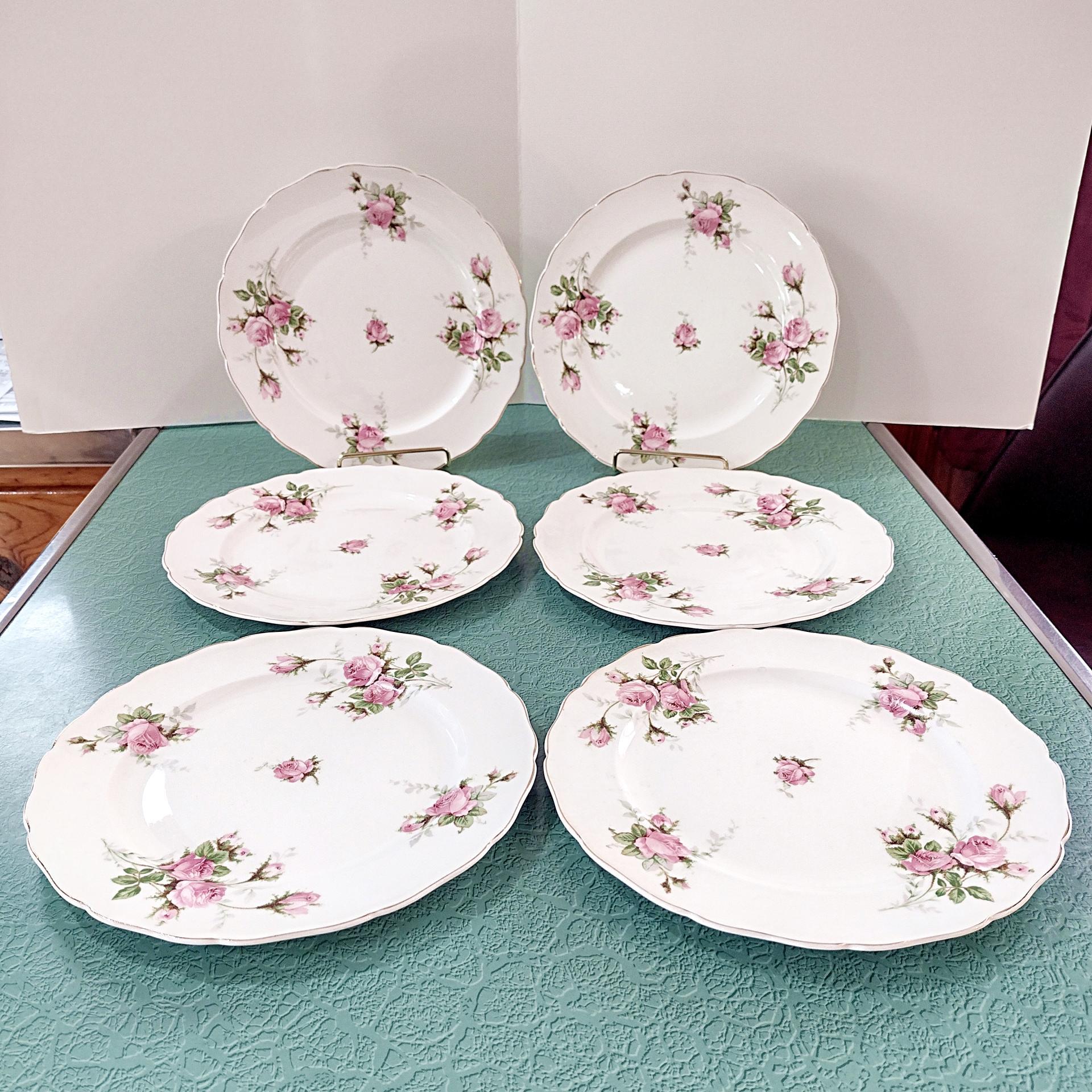 Vintage Canonsburg Moss Rose Luncheon Dinner Plates, Set of 6, Pink Floral MCM Plates