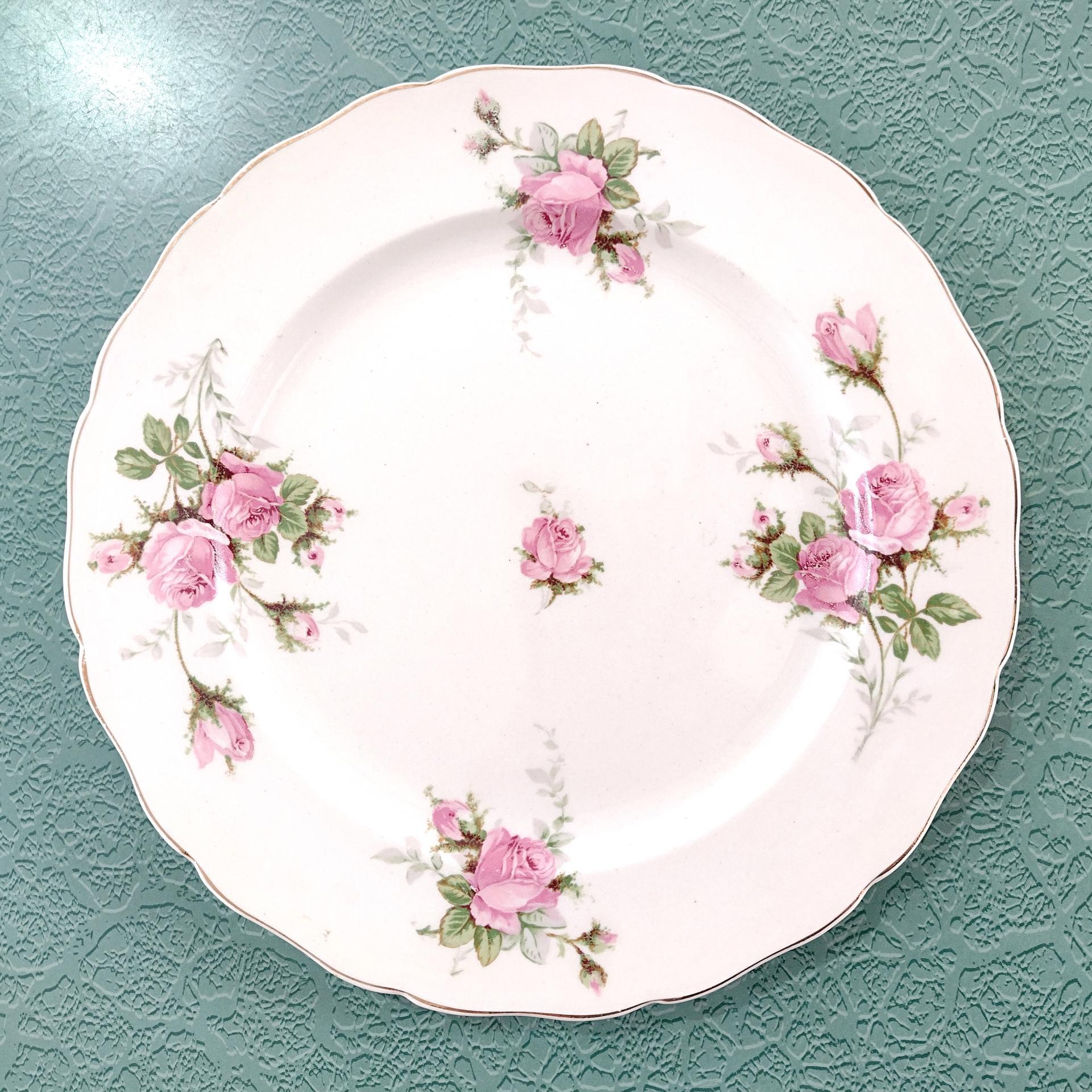 Vintage Canonsburg Moss Rose Luncheon Dinner Plates, Set of 6, Pink Floral MCM Plates