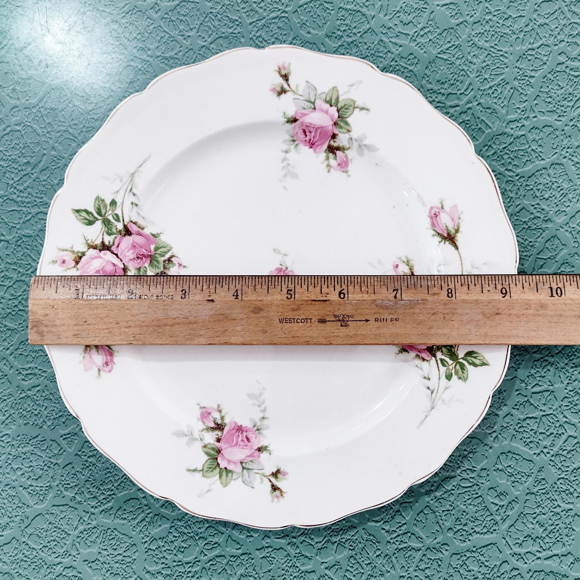Vintage Canonsburg Moss Rose Luncheon Dinner Plates, Set of 6, Pink Floral MCM Plates