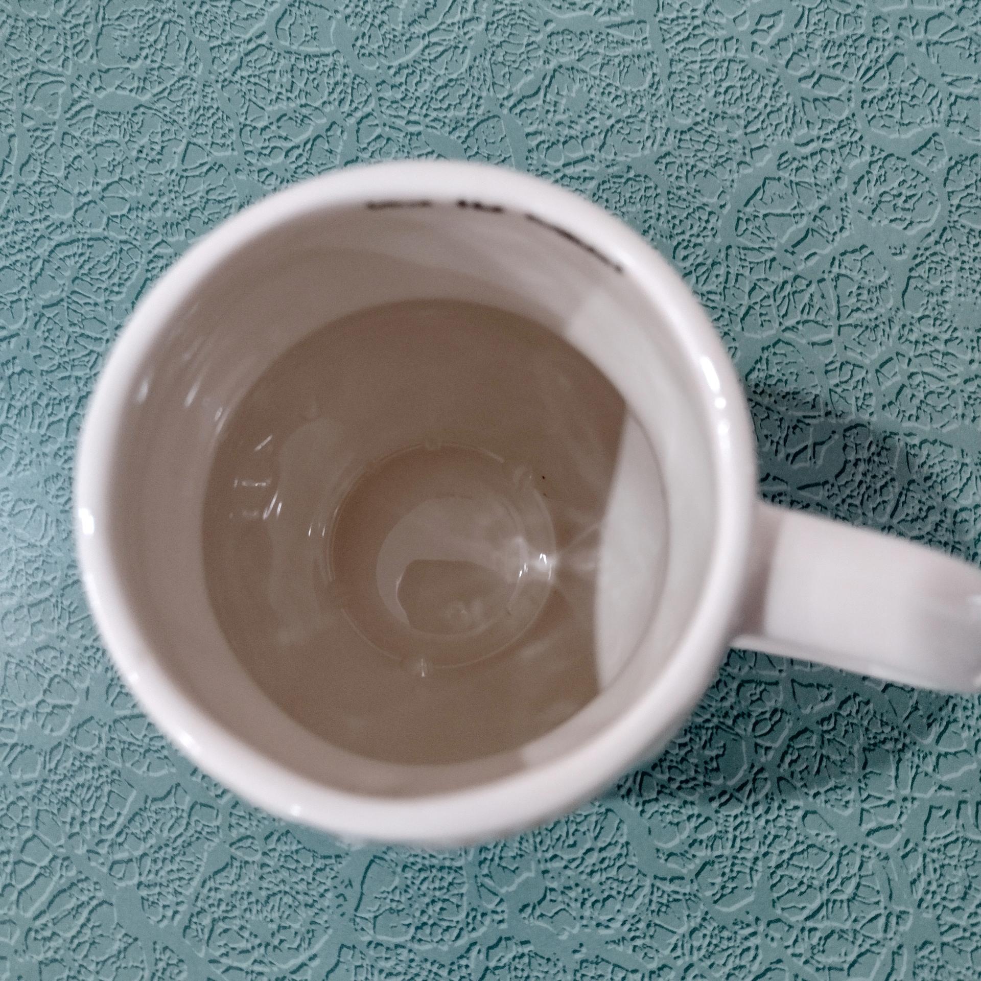 Vintage Owl Ceramic Coffee Tea Mug, Love the Moment Natural Life Owl Mug