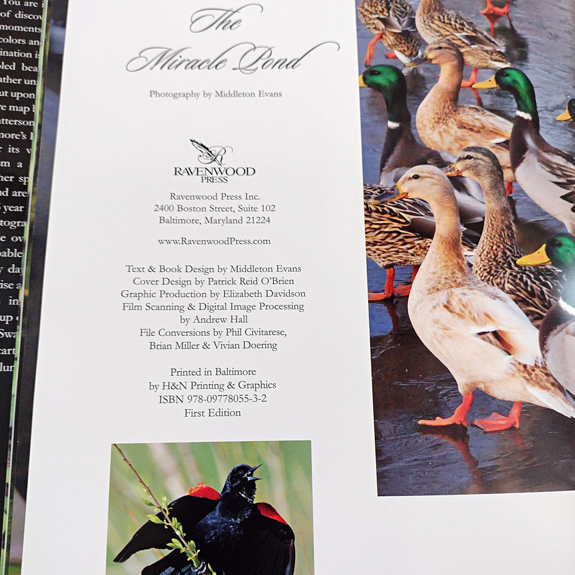 Vintage Signed First Edition The Miracle Pond Hard Back Coffee Table Book, Middleton Evans Patterson Park Baltimore Nature Photography Book