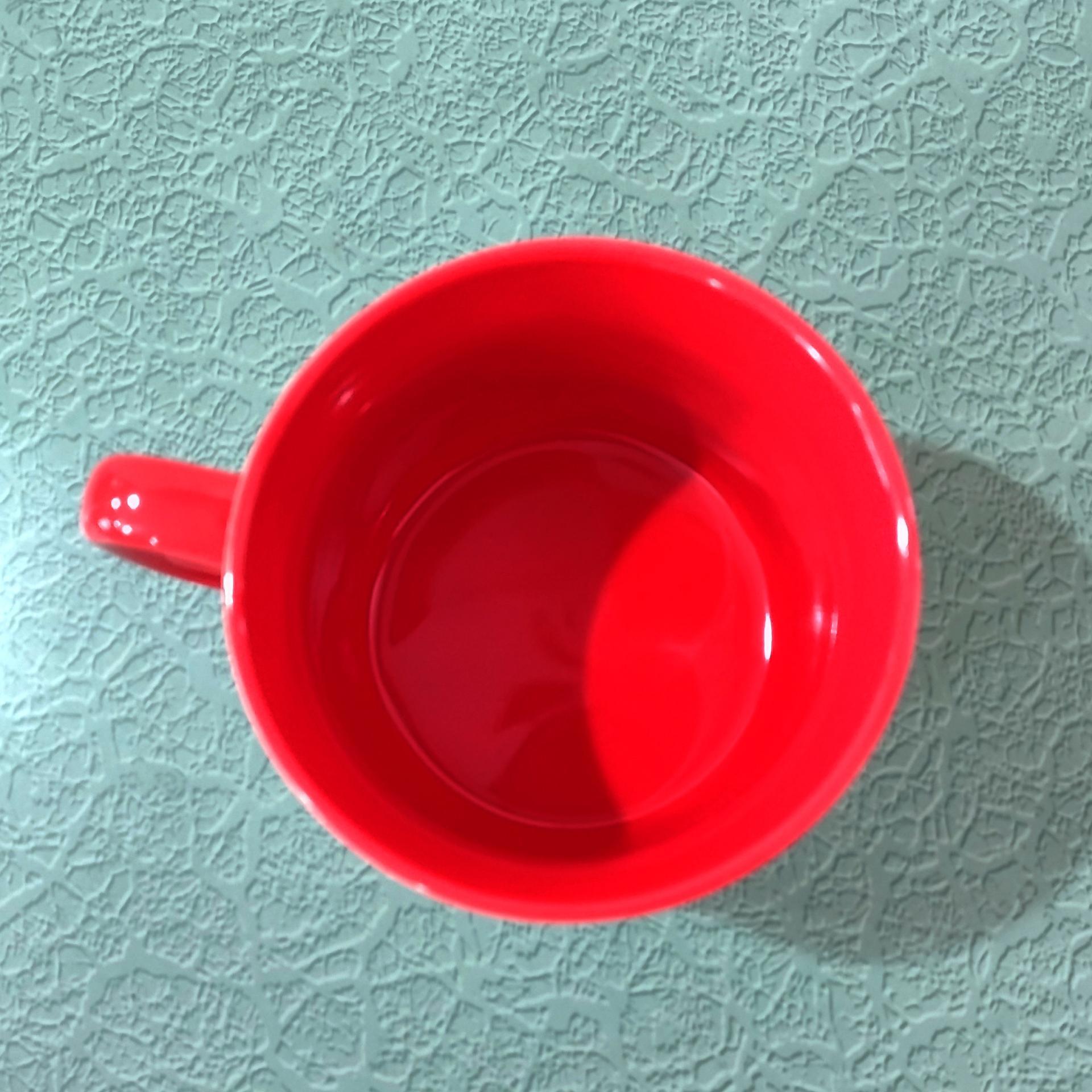 Vintage Christmas Pug Dog Is It January Yet Holiday Ceramic Coffee Tea Mug