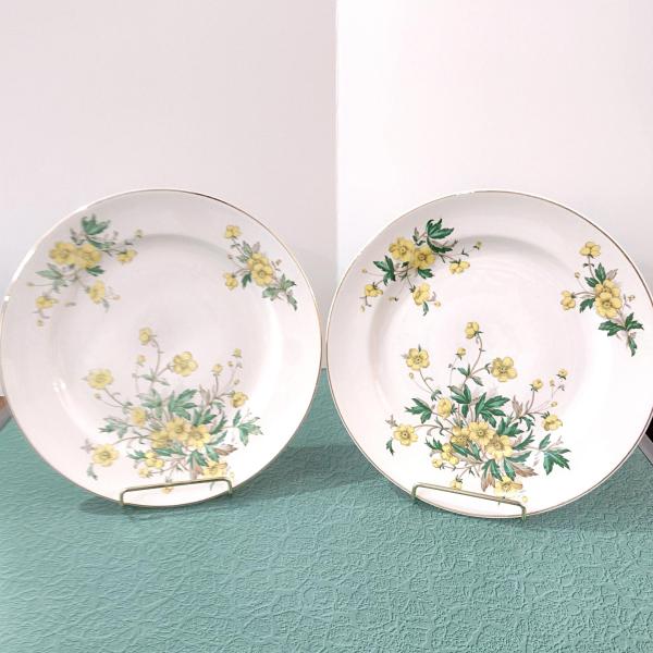 Vintage Edwin Knowles Buttercup Dinner Plate, Set of Two, Floral Ceramic 1940's Dinnerware