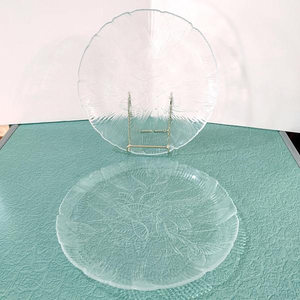 Vintage Arcoroc Canterbury Crocus 10.75 Inch Clear Glass Dinner Plates, Set of 2