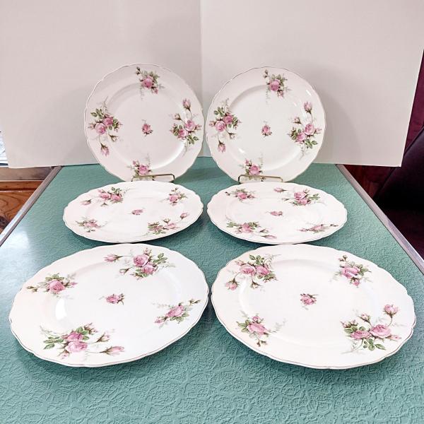 Vintage Canonsburg Moss Rose Luncheon Dinner Plates, Set of 6, Pink Floral MCM Plates